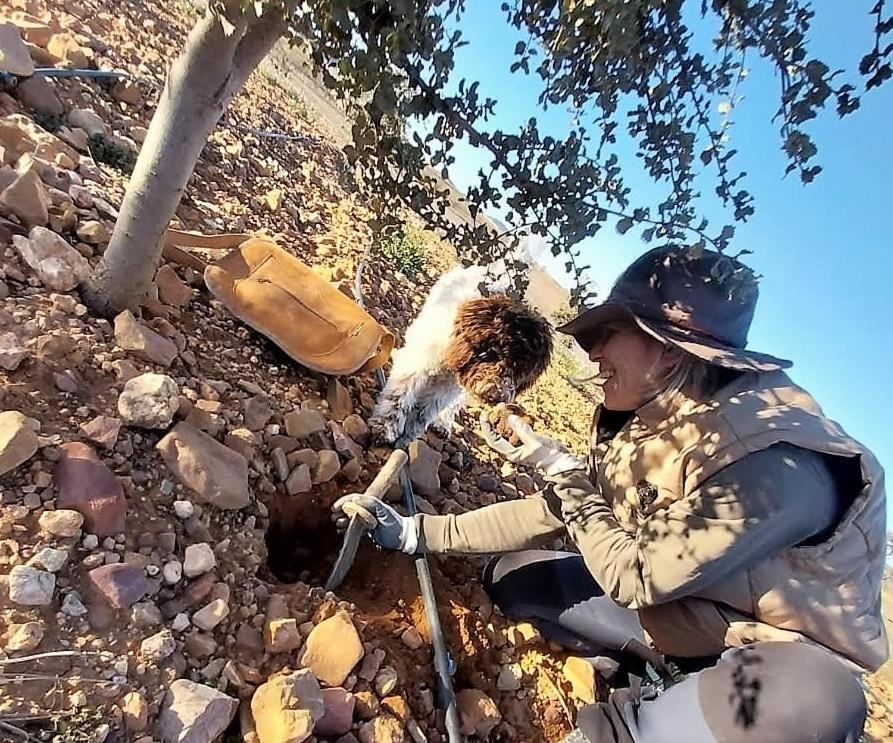 Appartamento Aromas Del Jiloca, Tierra De Trufas Calamocha Esterno foto